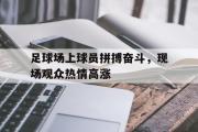 问鼎娱乐-足球场上球员拼搏奋斗，现场观众热情高涨