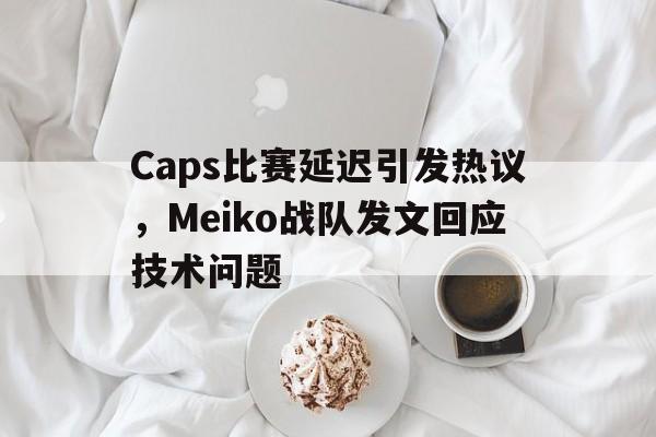 Caps比赛延迟引发热议，Meiko战队发文回应技术问题